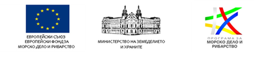 Kestenite project